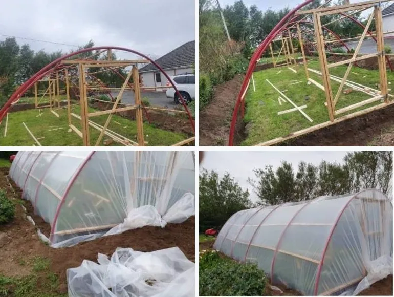 Four photos of a polytunnel being built: the timber frame and red hoops, then the tunnel covered in clear plastic